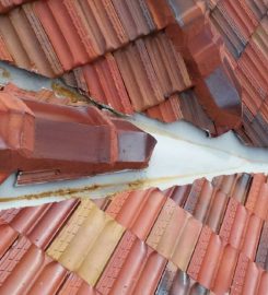 Ivy Contractors – Roofing Specialists Sydney
